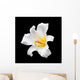 White flower Wall Mural