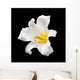 White flower Wall Mural