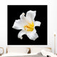 White flower Wall Mural