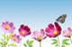 Pink Flower with Butterfly