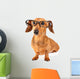 Dachshund dog with glasses Wall Decal