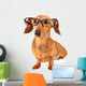 Dachshund dog with glasses Wall Decal