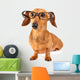 Dachshund dog with glasses Wall Decal