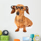 Dachshund dog with glasses Wall Decal