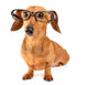 Dachshund dog with glasses Wall Decal