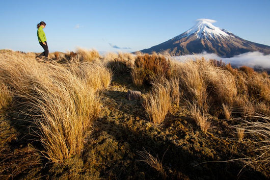 New Zealand Trekking Wall Decal