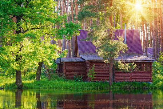 Wooden House Forest Lake