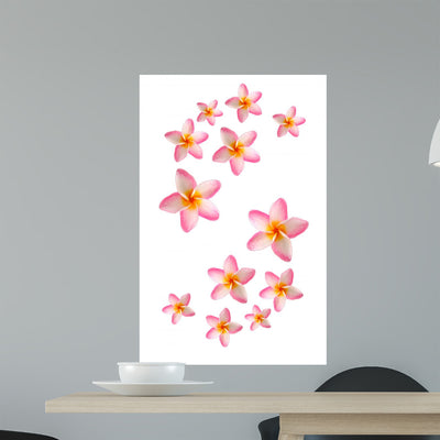 Frangipani Wall Mural shown on a wall