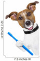 perfect smile dog Wall Decal
