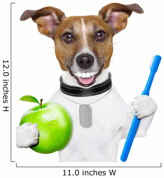 perfect smile dog Wall Decal