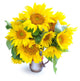 Bouquet of sunflowers are on a white background Wall Decal