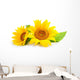 Sunflowers Wall Decal
