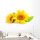 Sunflowers Wall Decal