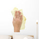 Wiping Wall Decal