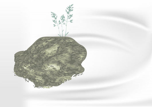Grass Stone