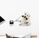 Labrador Answering Call