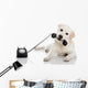 Labrador Answering Call
