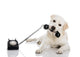 Labrador Answering Call