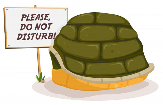 Do Not Disturb Turtle Sleeping Wall Decal