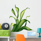 creative foliage, green leaves and grass illustration Wall Decal