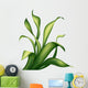 creative foliage, green leaves and grass illustration Wall Decal