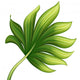 creative foliage, green exotic leaf illustration Wall Decal