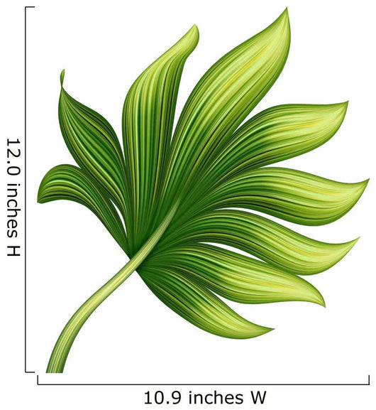 creative foliage, green exotic leaf illustration Wall Decal