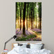Bluebells Sunrise Light