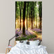 Bluebells Sunrise Light