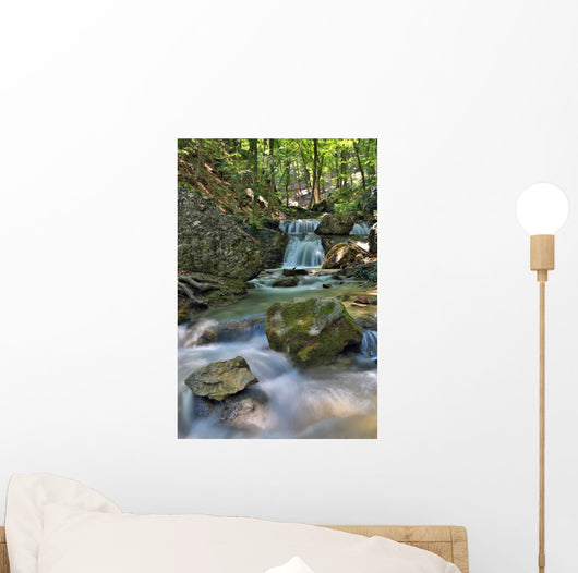 Mountaim River Wall Mural