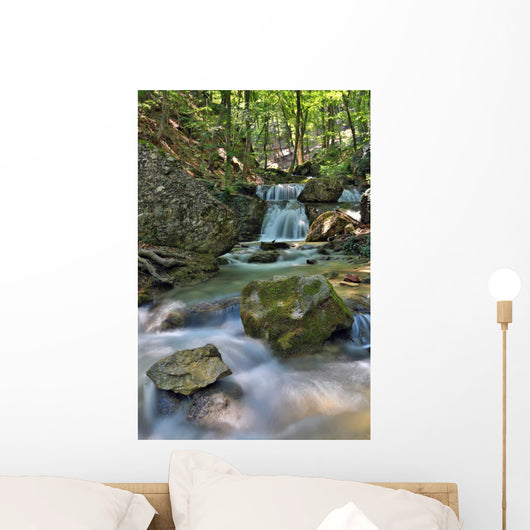 Mountaim River Wall Mural