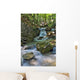 Mountaim River Wall Mural