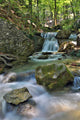 Mountaim River Wall Mural