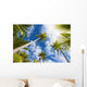 Palm Tree and Sky