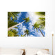 Palm Tree and Sky