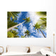 Palm Tree and Sky