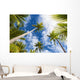 Palm Tree and Sky