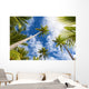 Palm Tree and Sky