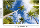 Palm Tree and Sky