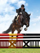 Show Jumping Wall Mural