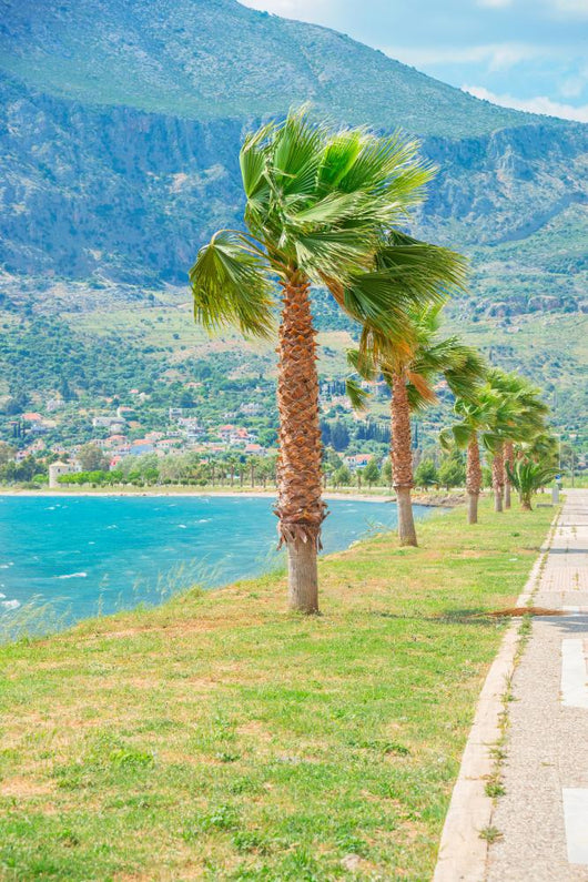 Exotic Beach Sea with