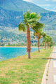 Exotic Beach Sea with