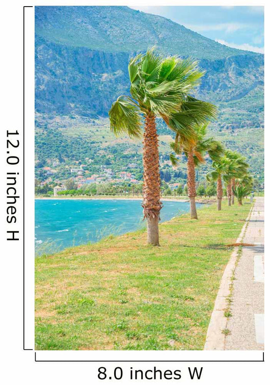 Exotic Beach Sea with