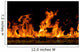 Fire Flames