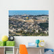 Panorama from Mount Olives