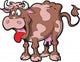 Cow Wall Decal