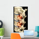 Human Spine