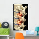 Human Spine