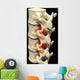 Human Spine