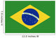 Brazil Flag